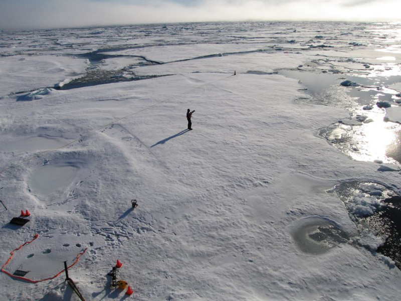 在格陵蘭進行研究的科學家發現，2010年夏天氣候異常暖化導致當地千億噸冰雪消失。圖片來源：達志影像/路透社。   
