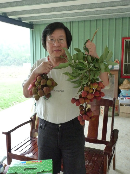 躲在南部當農夫的前國安會秘書長邱義仁，為了幫助大高雄推銷荔枝，也擺起POSE，叫賣起來。圖片來源:翻攝自花媽動態SNG臉書網頁   
