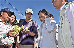 民進黨總統參選人蔡英文（右2）19日到台東關心豪雨農損。她說，政府應該迅速擬定專案補助；她如果當選總統，將修訂農業天然災害補助辦法，提高補助。圖片來源：中央社   