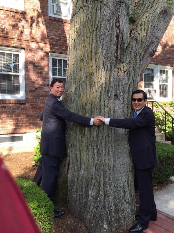 總統馬英九（右）於美東時間11日拜訪波士頓哈佛大學，由駐美代表沈呂巡（左）陪同環抱最愛的那顆大樹，並拍照留念。圖：中央社   