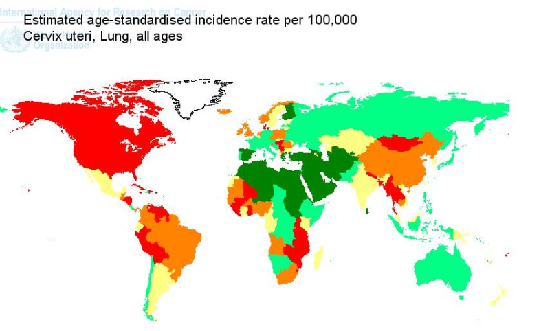 世界衛生組織（WHO）在網站上顯示了世界各地癌症發病率的癌症地圖，綠色代表低發病率，紅色代表高發病率。圖片來源：翻攝自WHO網站。   