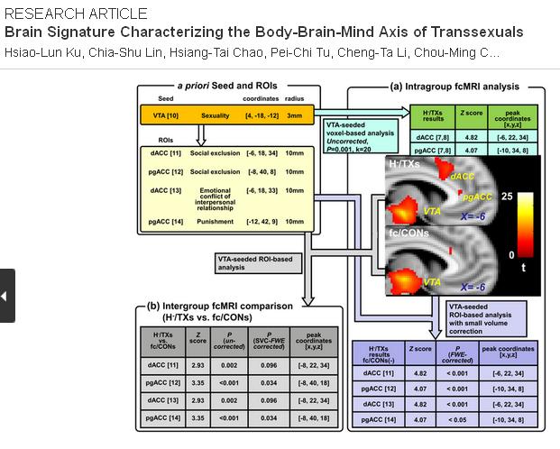 由台北榮總與陽明大學研究小組所組成的榮陽團隊，有關變性人的研究結果已發表在國際知名期刊「公共科學圖書館期刊(PLOS ONE)」。圖:翻攝自PLOS ONE官網   