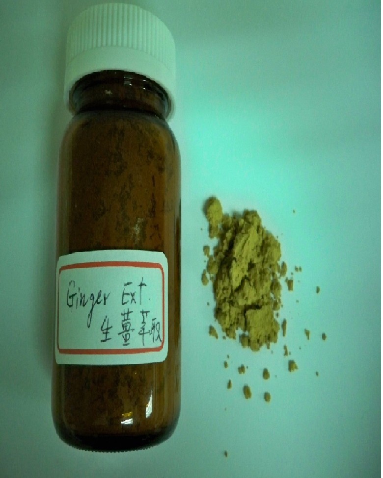 中國大陸禾博公司輸入台灣的薑粉（圖），檢出塑化劑DIBP達3萬3100ppm。圖片來源：衛生署提供。   