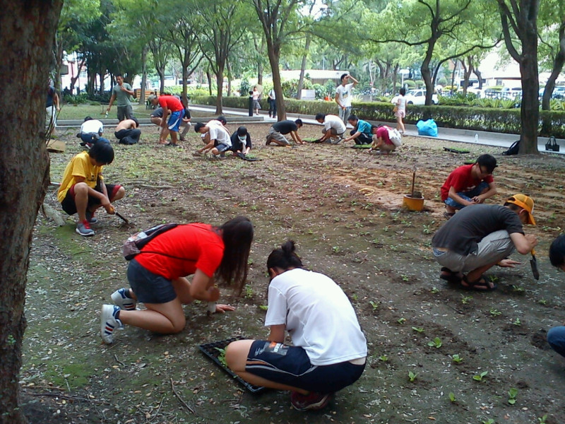 10餘名民眾、學生在中央聯合辦公大樓靠近徐州路一側的花圃種下一片「希望菜園」。圖：涂鉅旻/攝   