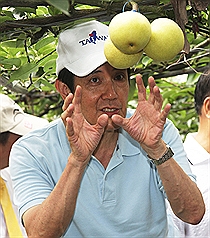 總統馬英九14日前往宜蘭三星鄉高接梨產銷班果園，了解高接梨栽培情形。圖片來源：中央社   
