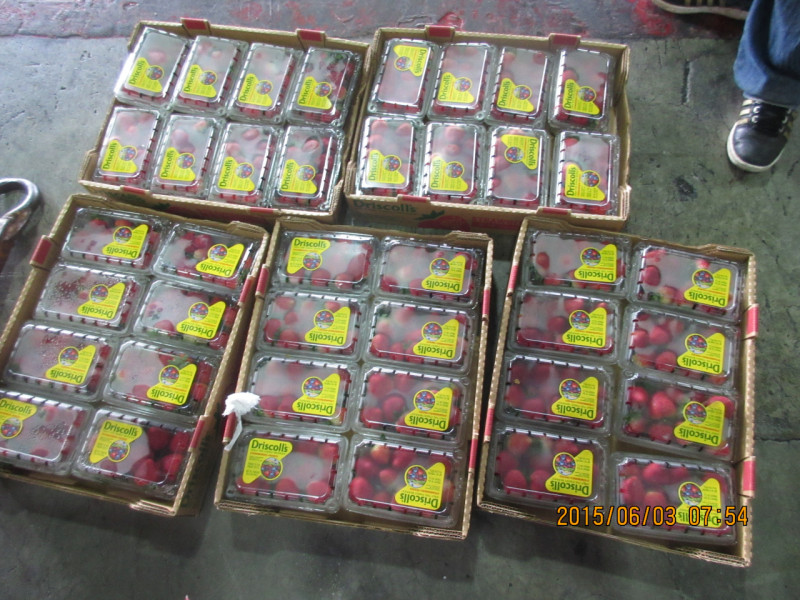 食藥署8日公布邊境查驗不合格名單，好市多進口的草莓遭檢出超標農藥。圖：食藥署提供   