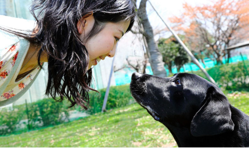 日本麻布大學研究團隊證實，人狗之間的心靈感應確實存在！圖：翻攝朝日新聞   
