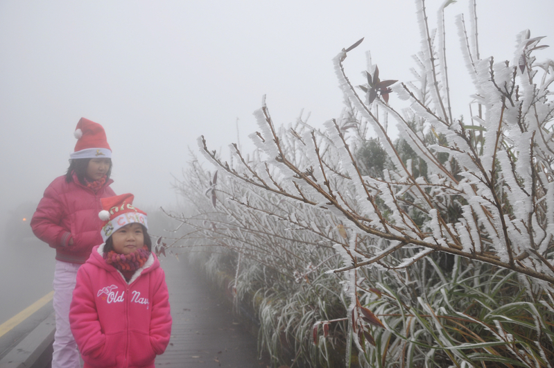 海拔約1900公尺的宜蘭太平山國家森林遊樂區，今天凌晨下雪，山區成銀色世界。圖：中央社資料照片   