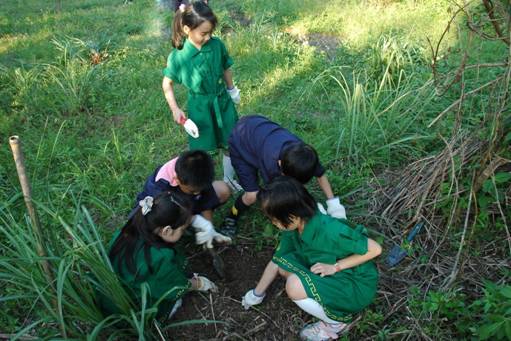 七年前也是新店童軍團小朋友植樹，開始了和美山的生態故事。圖片來源:張聖賢提供   