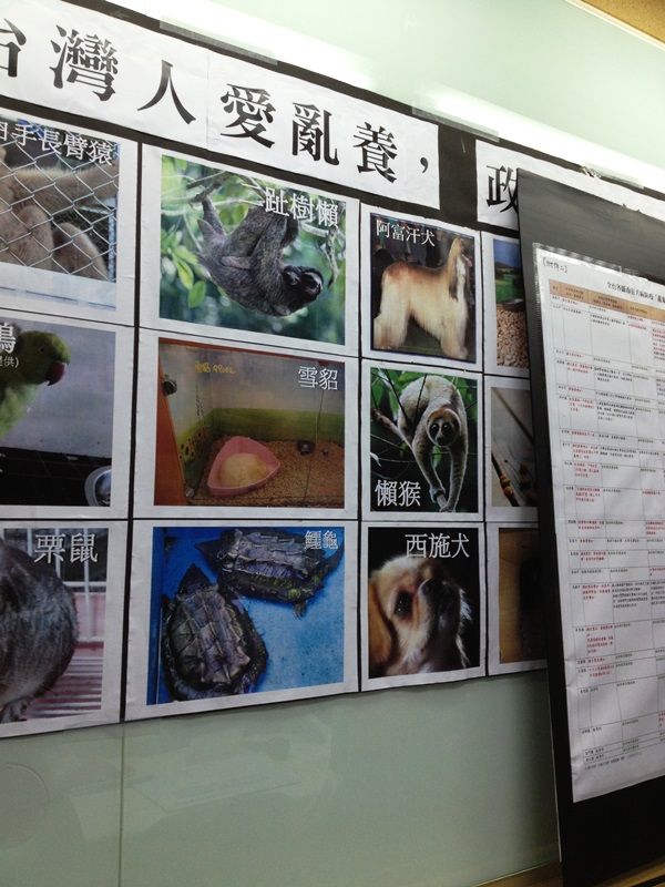記者會上的裝飾看板，介紹台灣的走私動物。圖3：王立柔/攝   