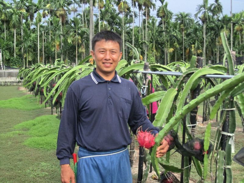 65年次的萬丹農民辭去宏碁電腦的工作回鄉種香蕉、红龍果，表示心靈的富足是從前無法想像的」。圖3-3：屏東縣政府提供   