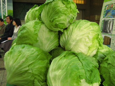 受到豪雨影響菜價上揚，每公斤平均交易價格已達35.9元。農糧署今天建議說，民眾可優先採買貨量較充足的甘藍、結球白菜及根莖類蔬菜。圖片來源：翻攝自農糧署網站。   