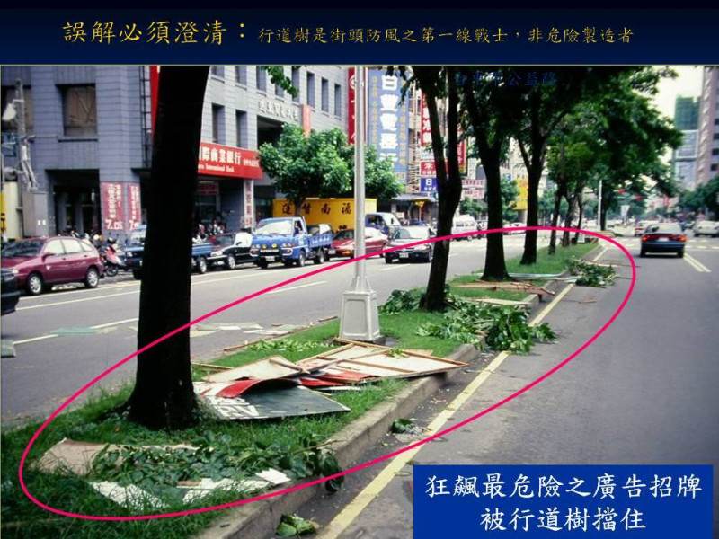 根據張豐年在記者會上指出，因為有樹木，才能將狂風吹落的招牌擋住，避免損傷。圖:翻攝台灣護樹團體聯盟臉書   