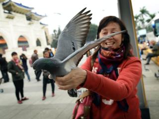 中國出現全球首例H10N8禽流感致死病例，疾管署呼籲，民眾前往中國、港澳旅遊時，最好避免接觸活禽。圖：中央社資料照片。   