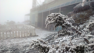 玉山今天降下馬年的首波雪，氣象局預估，這波濕冷的天氣還會持續1週。圖：中央社。   