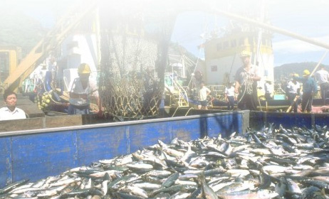一年一度的「漁耀安平-2012全國漁民節」活動將於7月20、21日在台南市登場，除了舉辦各項活動外，漁業署也選出12位模範漁民，將在活動中進行表揚。圖片來源：漁業署提供。   