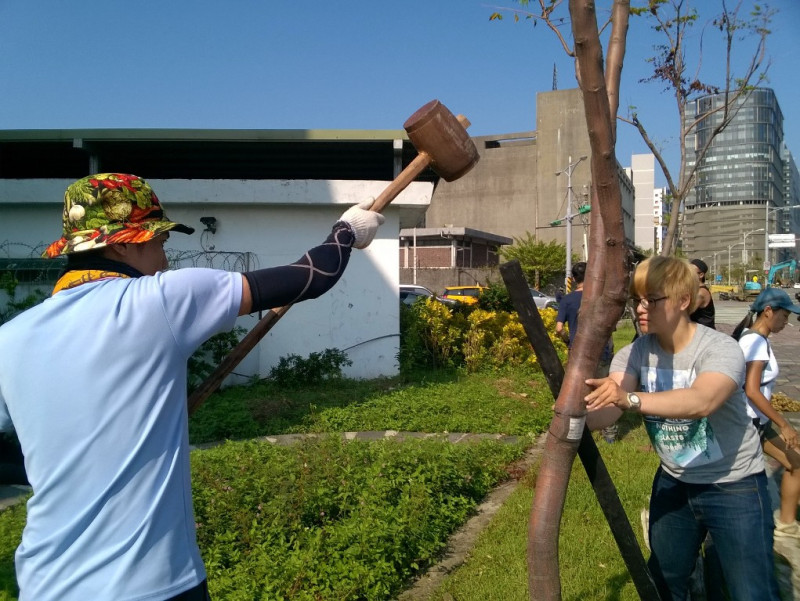 護樹志工19日上午再度於市民大道南港段，展開救樹行動。圖：何星瑩/攝   