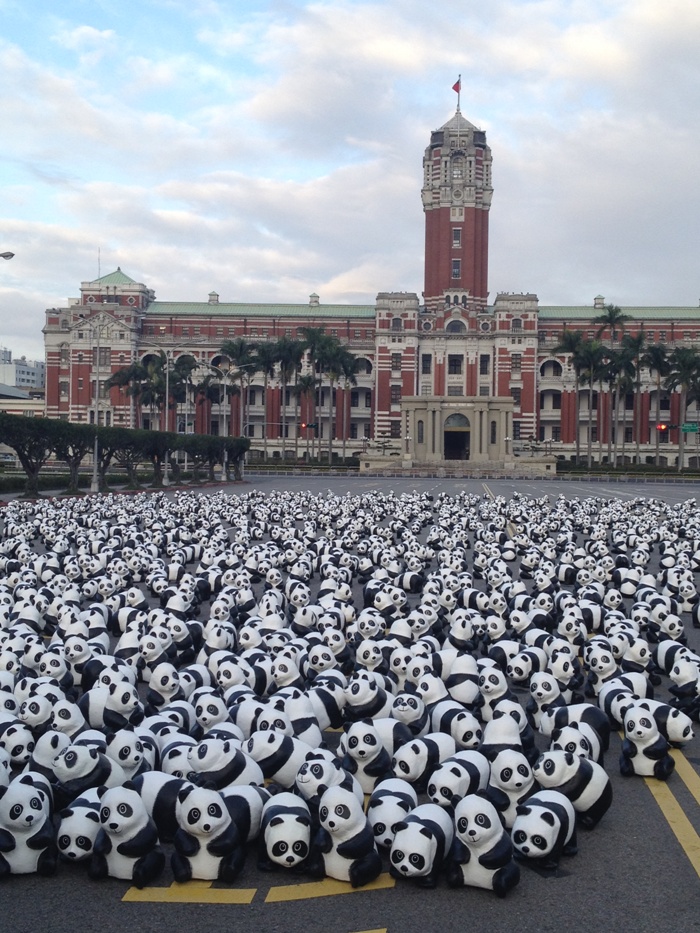 今(22)天一早6點，有1600隻紙貓熊現身在凱道，乍看之下，宛如包圍了總統府。圖：台北市觀傳局提供   