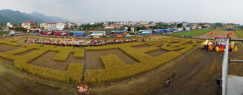 凱稻今日收割，呼籲速修訂「土徵條例」。圖片：台灣農村陣線   