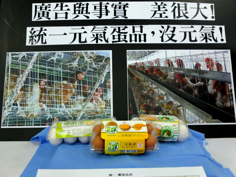 統一味全的雞蛋標榜自然高品質，台灣動物社會研究會今(7)日指出，兩大廠的雞蛋是來自格子籠，與廣告內容差很大。圖：翁嫆琄/攝。   