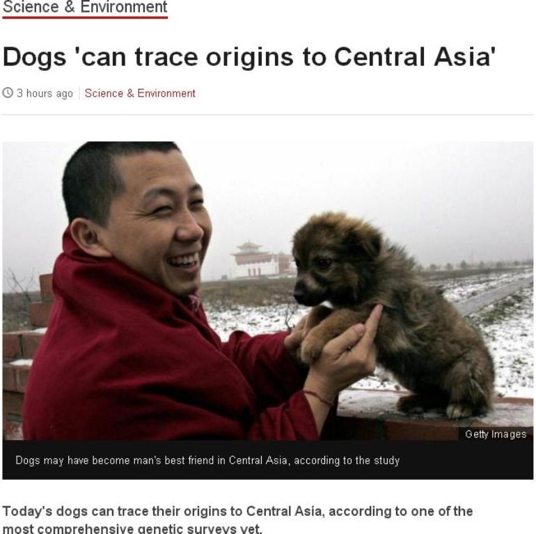 最新研究指出，現代犬種的起源可能是在中亞地區。圖：翻攝BBC網站   