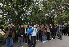 台灣即將開放陸客自由行，圖為一群中國觀光客2日到士林官邸花園參觀拍照的情況。圖片來源：中央社   