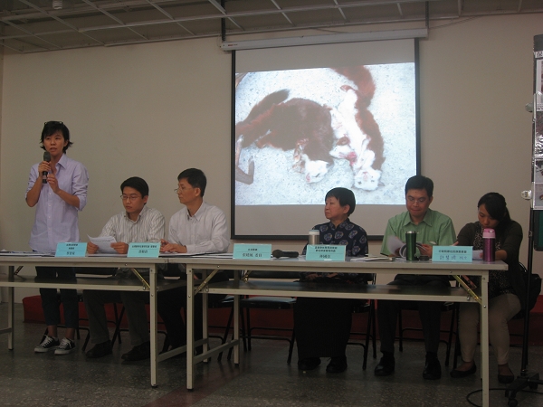 台灣動物社會研究會今（7）日上午召開記者會指出，原住民地區濫捕嚴重，官方所公布近3年來原住民狩獵捕殺2萬頭野生動物的數字低估，有8成以上的狩獵行為並未回報。圖：楊宗興/攝   