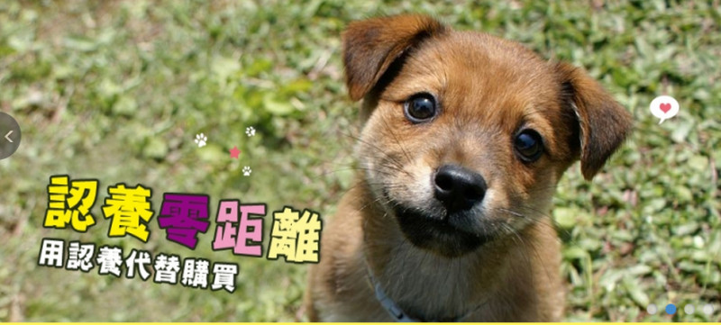 別小看動物的本事，日本已經實驗證明狗狗可以準確嗅出癌症訊息。圖：翻攝農委會動物保護資訊網   