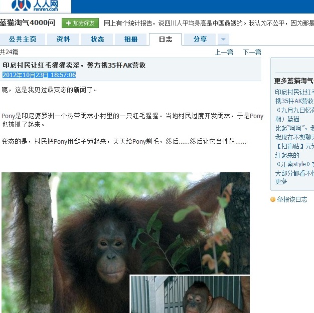 中國社交網站「人人網」網友「藍貓淘氣4000問」今年10月23日於日誌上表示，「這是我看過最變態的新聞了」。圖：翻拍自網路。   