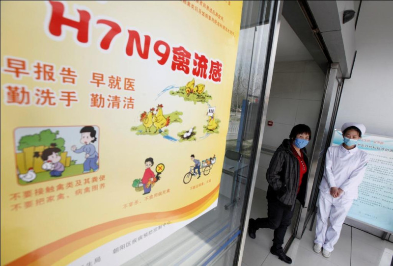 中國上海市今天日公佈首起H7N9家庭群聚事件，依現有證據顯示，不排除為侷限性的人傳人事件。圖片來源：達志影像/路透社   