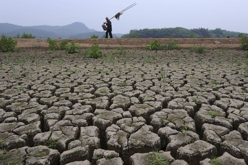 中國長江沿岸的乾旱仍無緩解跡象，根據中國當局最新的統計資料顯示，受災人數已接近3500萬人。圖為安徽省的旱象。圖片來源：達志影像/路透社。   