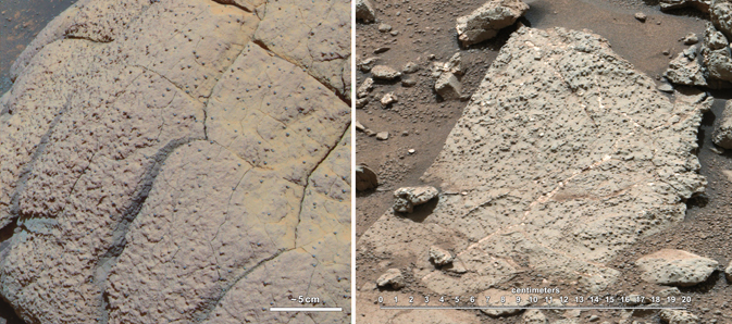 好奇號在火星蓋爾撞擊坑內的黃刀灣（Yellowknife Bay）所採集的Sheepbed岩石樣本。圖片來源：翻攝自NASA官網。   