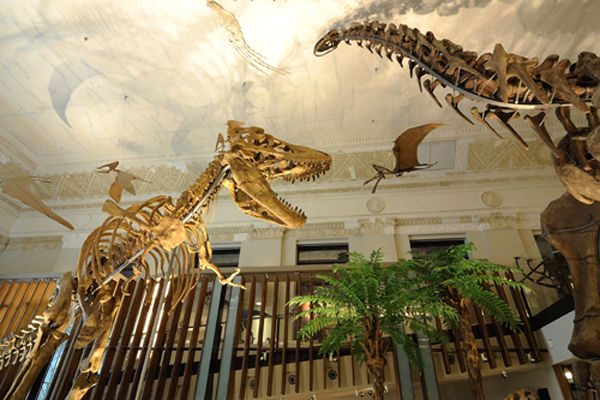 英國科學家指出，草食性恐龍每年相當於排出約5億7,200萬噸甲烷，排放量較現代牛隻與其他反芻動物的總排量高出5倍以上。圖片來源:翻攝自土銀台灣博物館   