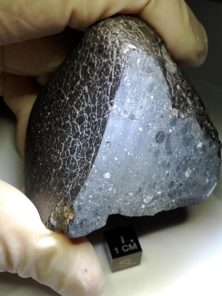 根據BBC 21日報導，最新發表在「Nature」期刊的研究中表示，一塊編號為NWA 7533的火星隕石，是黑美人（圖）的姊妹石，可能約在44億年前形成。圖片來源：達志影像/美聯社   