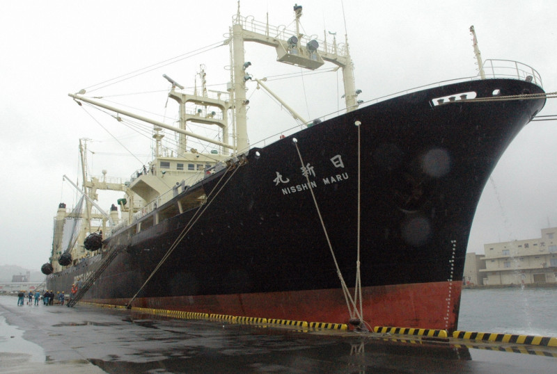 日本政府在不堪其擾下決定撤回正在南極海域進行捕鯨作業的船隊，照片中為日本捕鯨調查船「日新丸」。圖片來源：達志影像/路透社   