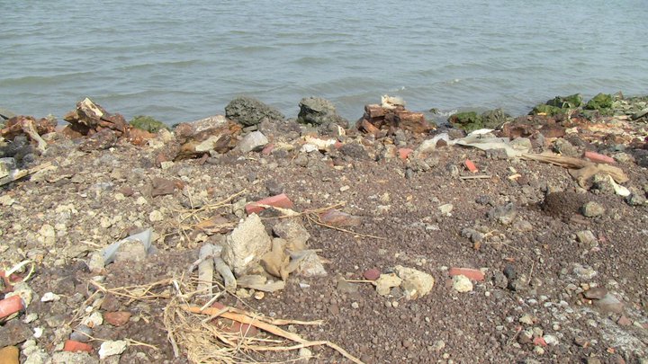 大肚溪口沿岸毒物。圖片：彰化縣環保聯盟提供   