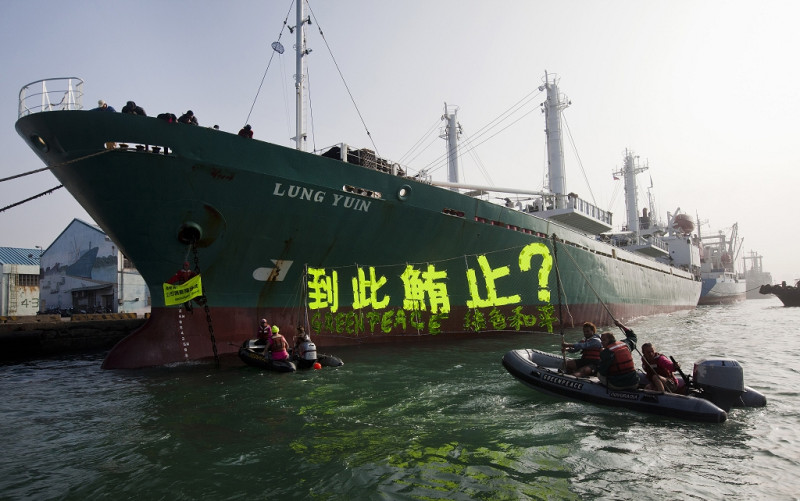 綠色和平彩虹勇士號的行動成員的船員，把小艇開到「隆運號」，並展示寫著「The Last Tuna?」(到此鮪止)的布條，以阻止這艘運搬船出港。圖片來源：綠色和平組織   