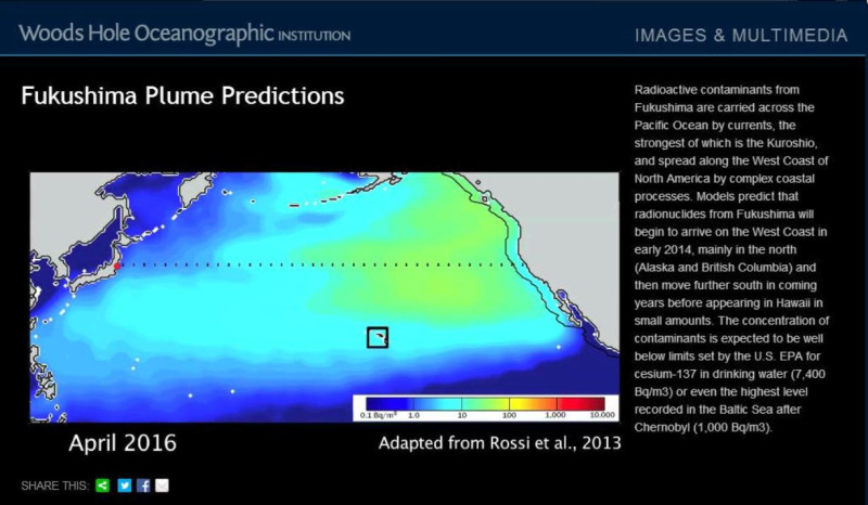 美國麻州伍茲霍爾海洋研究所(the Woods Hole Oceanographic Institution)的研究人員預測這些放射性物質將於4月便可能在美國西海岸偵測得到。圖片來源：翻攝自伍茲霍爾海洋研究所官方網頁。   