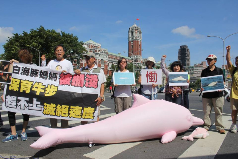 台灣媽祖魚保育聯盟等環保團體今（18）日上午到總統府前陳情，控訴白海豚遭誤捕死亡，政府就是兇手。圖：林雨佑/攝   