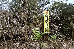 地球公民基金會12日表示，台東縣長濱鄉中濱段竹湖小段790地號，約有40公頃超過百年以上的國有原始林，被人有計畫毒殺，目的是在林下種植檳榔。圖片來源：中央社   
