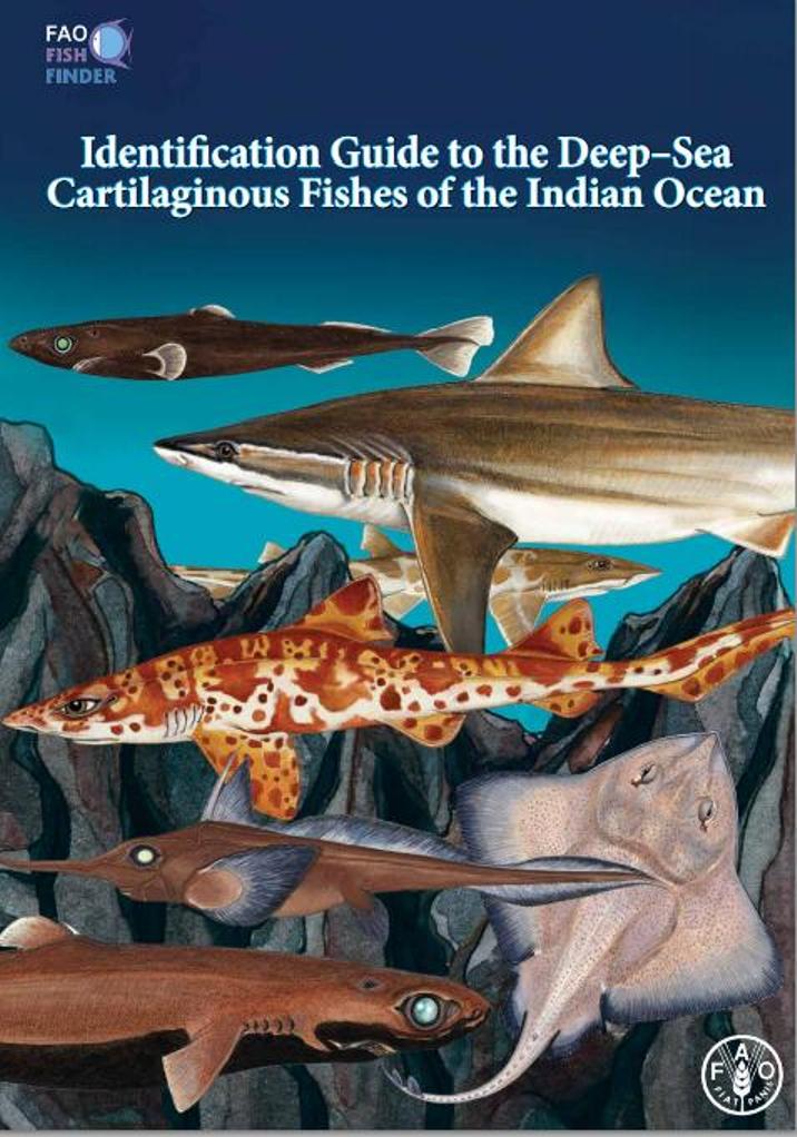為對深海脆弱物種加以保護，聯合國糧農組織(FAO)28日公佈《印度洋深海軟骨魚類鑑別指南》，以利漁民海上作業時，更容易識別深海軟骨魚類，目的在改善漁獲報告，並提高深海漁業永續發展的可能性。圖片來源：《印度洋深海軟骨魚類鑑別指南》封面。   