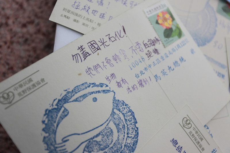 小朋友的童言童語表現出保護大自然的熱情，明信片上寫著：「勿蓋國光石化！牠們不會轉彎，不要白海豚絕種，生物都有活的權利。」圖片來源：楊宗興   