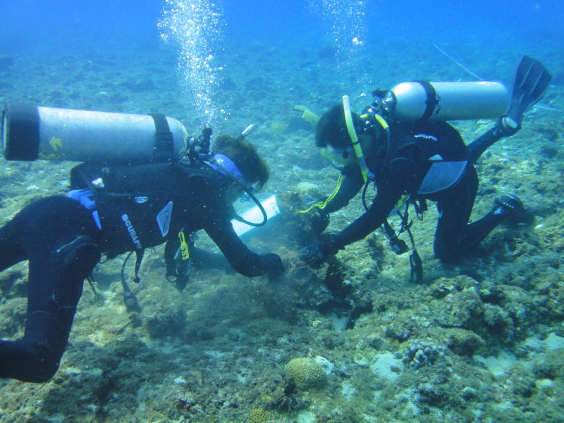 小琉球因為觀光業發達，高度開發後的珊瑚礁狀態，為各離島當中劣化最嚴重的區域。圖片來源：環資提供   