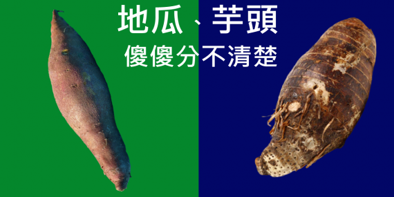 post_656eeb35474ce.png
